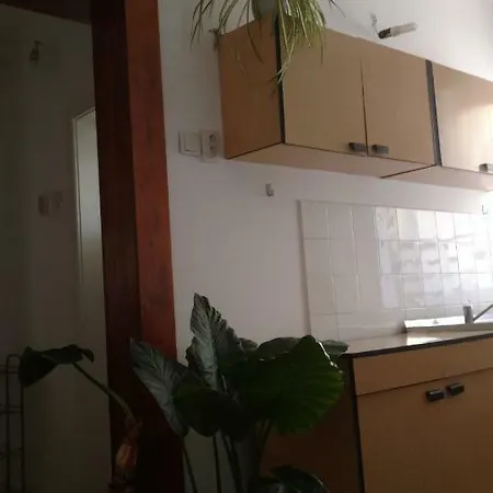 Apartment Garden Getaway Cluj-Napoca